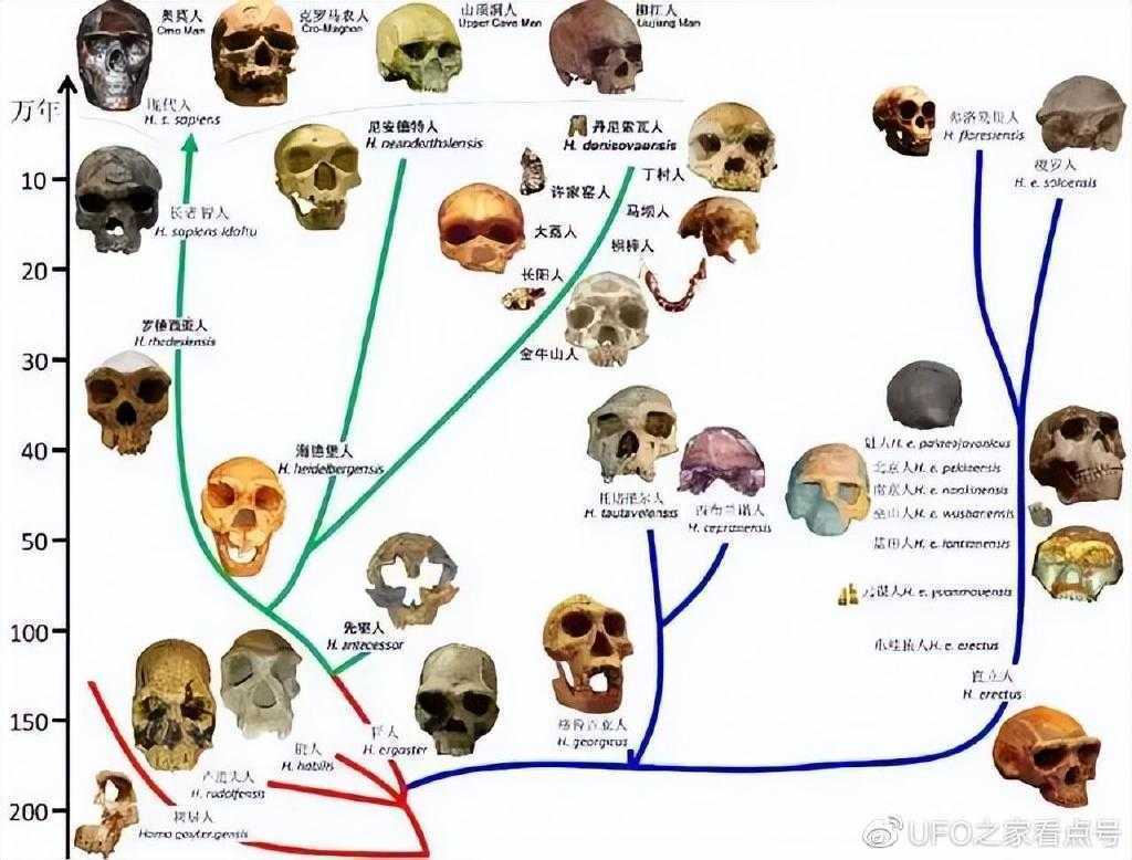 地球上曾经有几十种人,为什么最后只剩下了我们智人?
