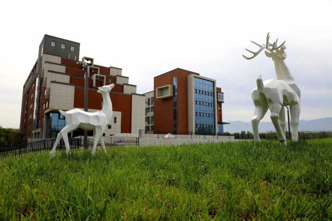 微信图片_20201112092335